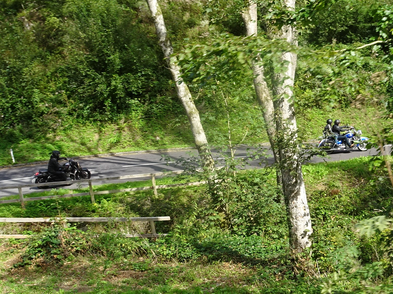Motorradfahrer auf Waldweg – OG MOTO Tour des Monats